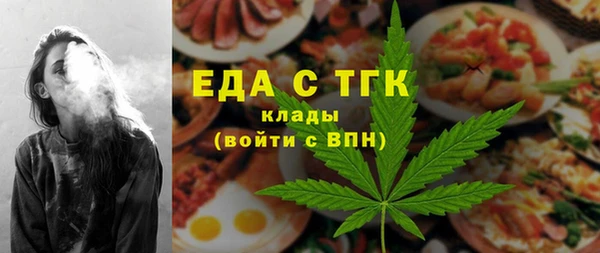 индика Алзамай