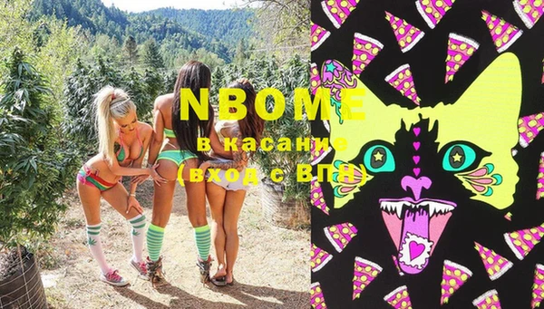 индика Алзамай