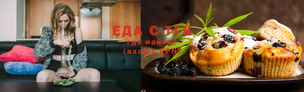 индика Алзамай