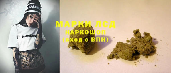 индика Алзамай
