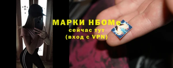 индика Алзамай