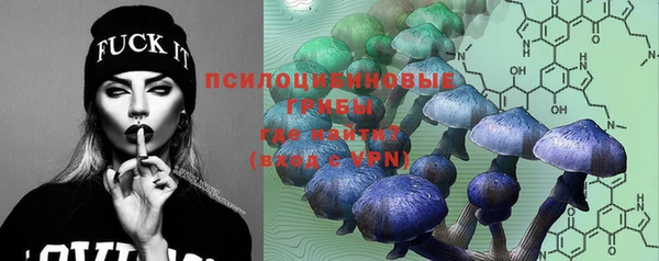 мяу мяу кристалл Алексин