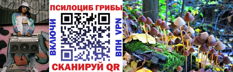 KRAKEN зеркало  где продают наркотики  Череповец  Галлюциногенные грибы Cubensis 